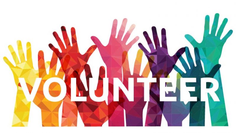 Volunteer-1-800x451 image